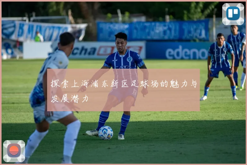 探索上海浦东新区足球场的魅力与发展潜力
