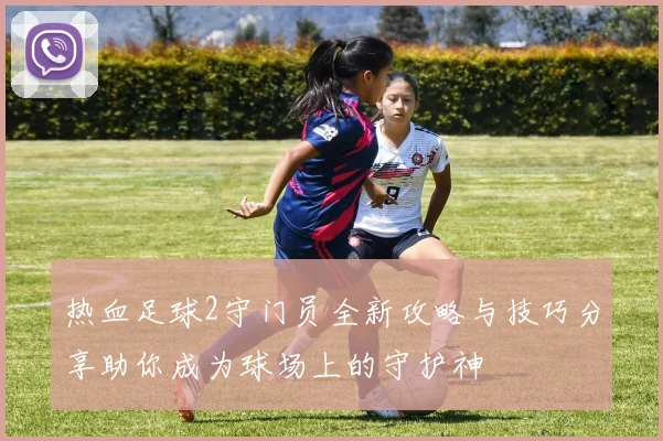 热血足球2守门员全新攻略与技巧分享助你成为球场上的守护神