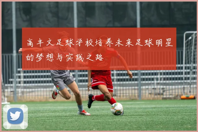 高丰文足球学校培养未来足球明星的梦想与实践之路