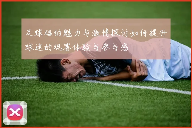 足球磕的魅力与激情探讨如何提升球迷的观赛体验与参与感
