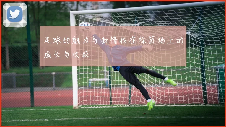 足球的魅力与激情我在绿茵场上的成长与收获